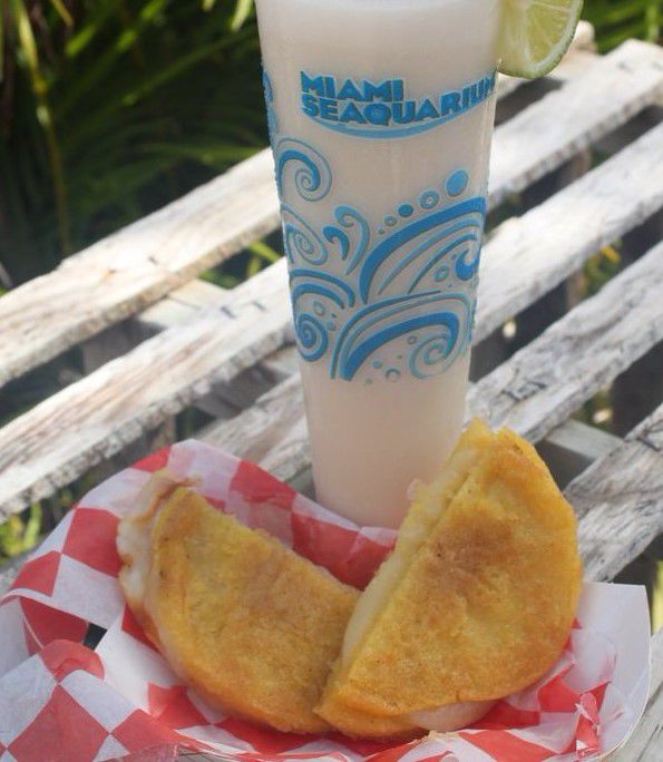 Tastes of Miami, Food and Music festival